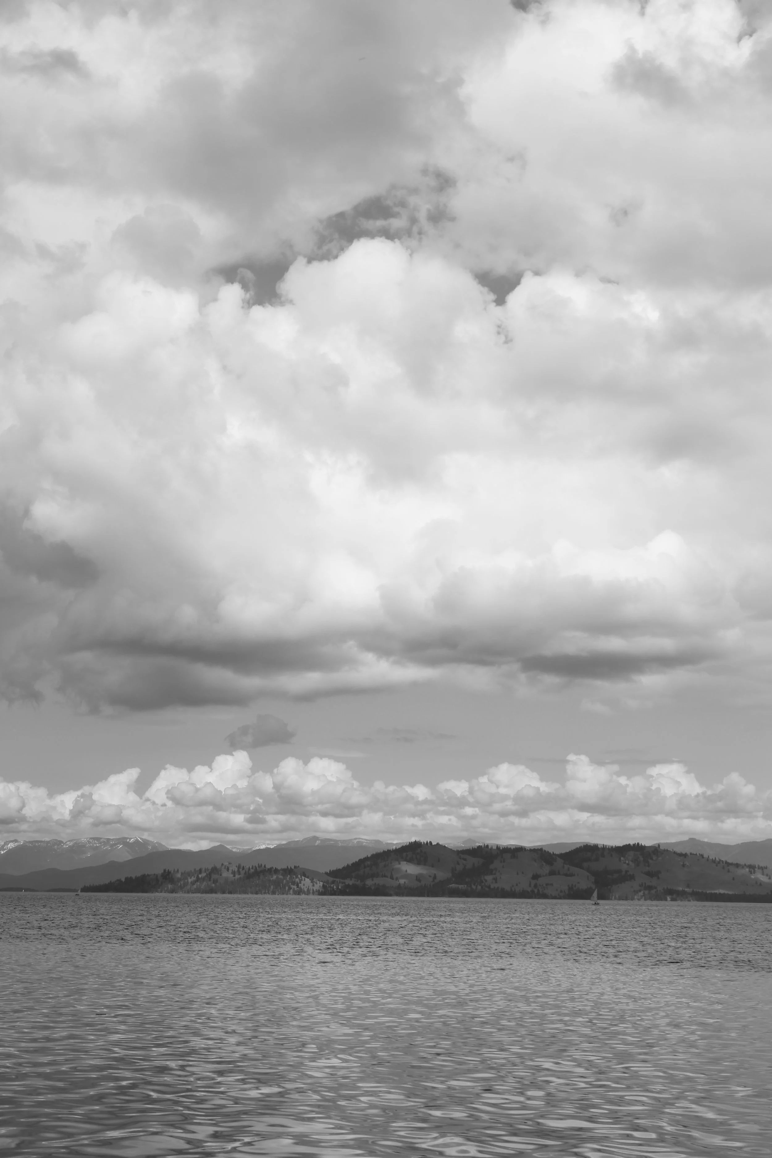 Another Day in Paradise