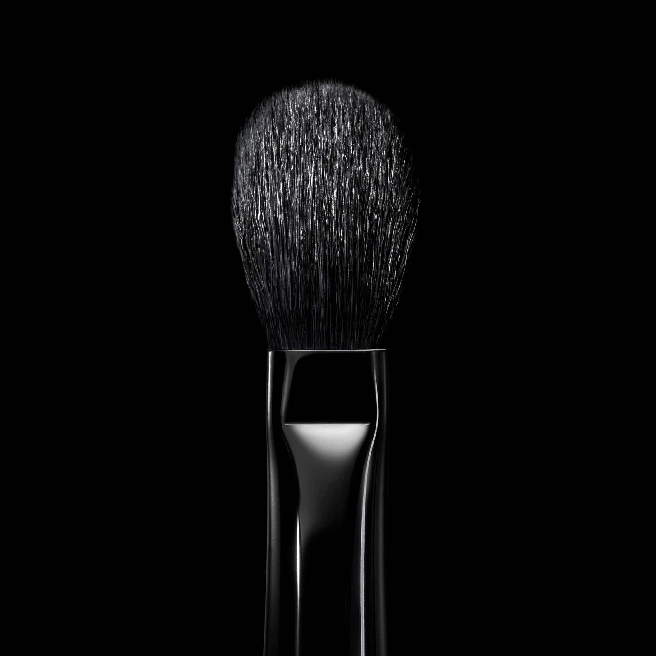 1594-15A PMG BRUSH CLOSEUP.JPG