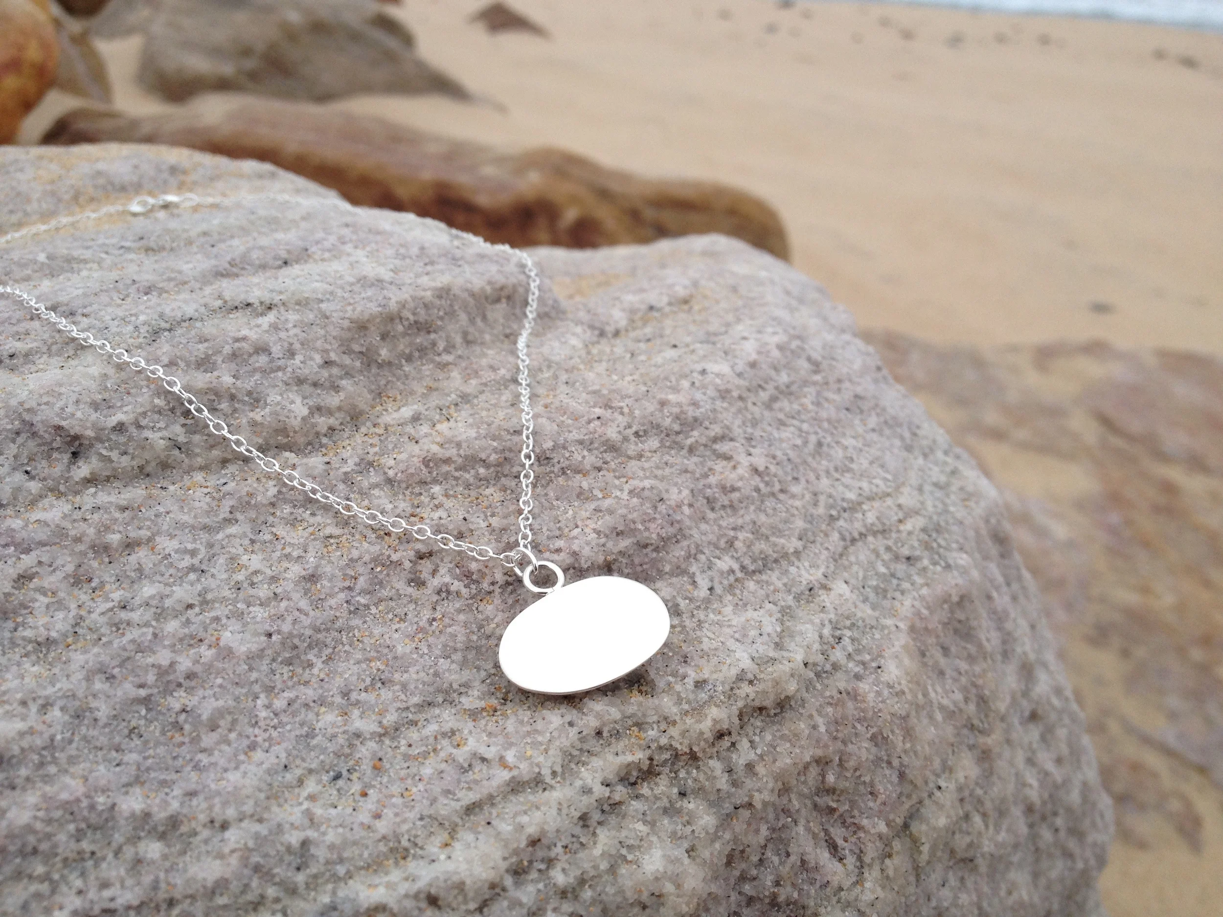 white limpet shell b .jpg
