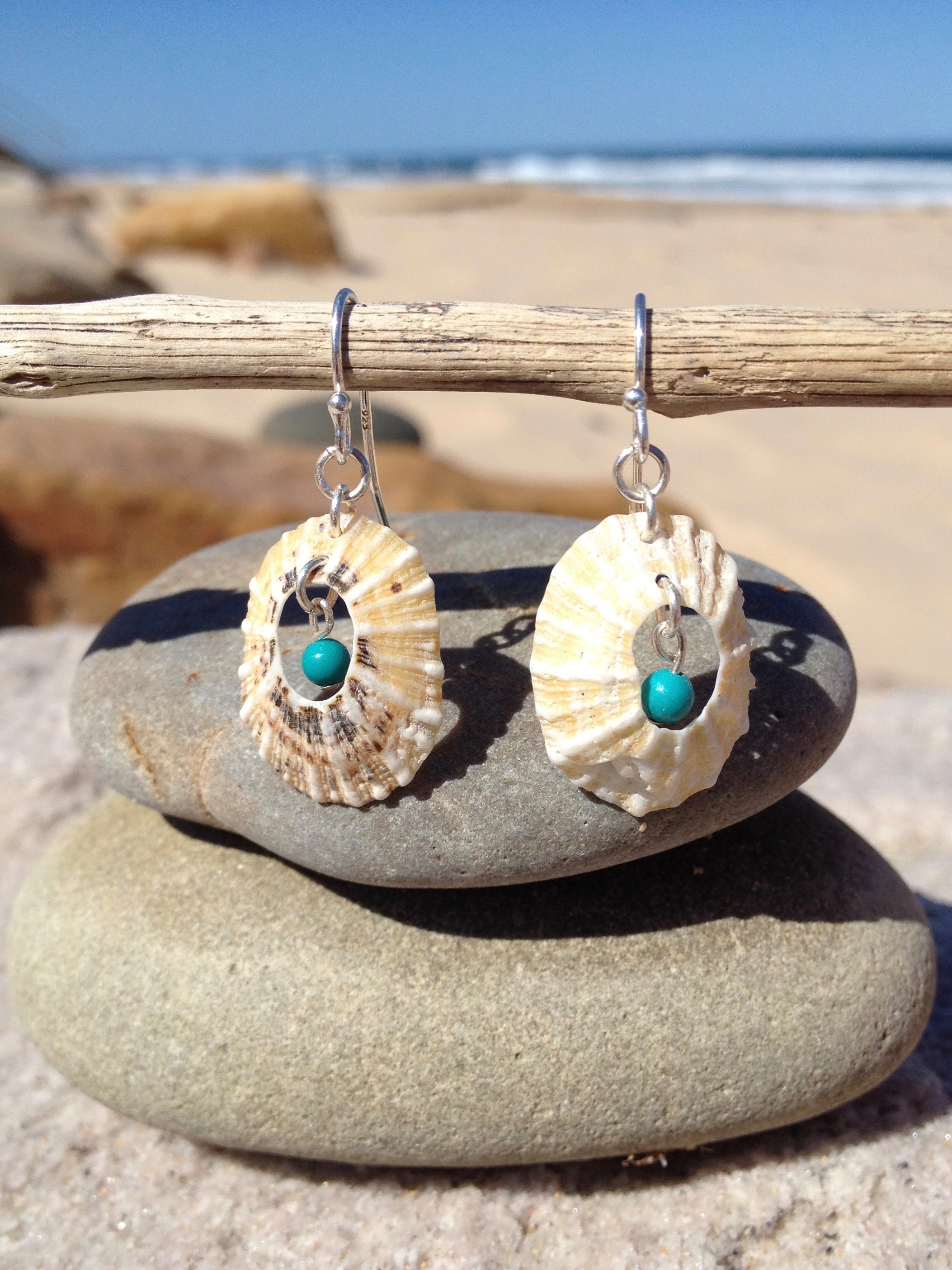 Limpet Shell and Turquoise Earrings