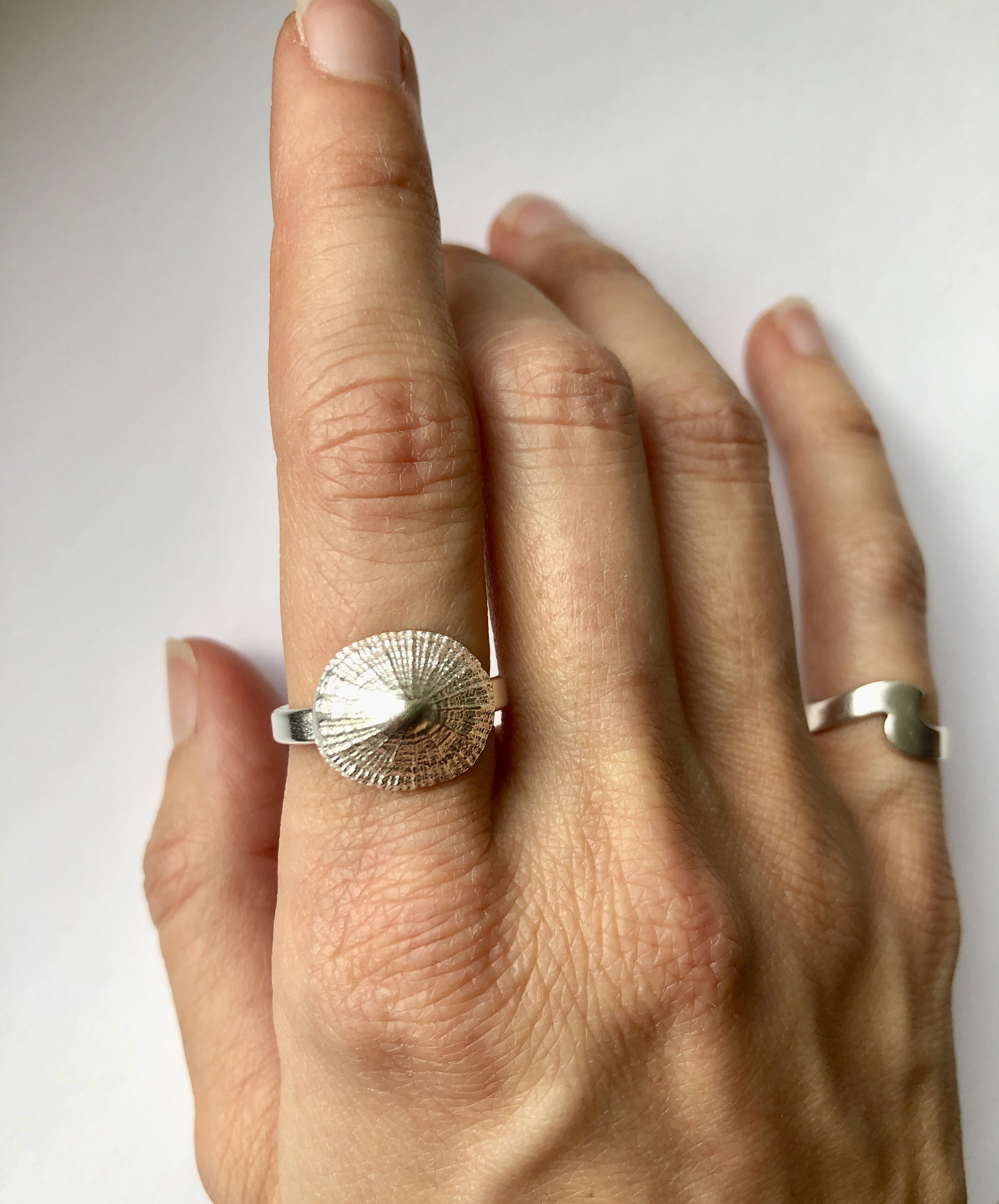 Silver Limpet Shell Ring, Tropical Beach Ring, Boho Limpet Shell Ring