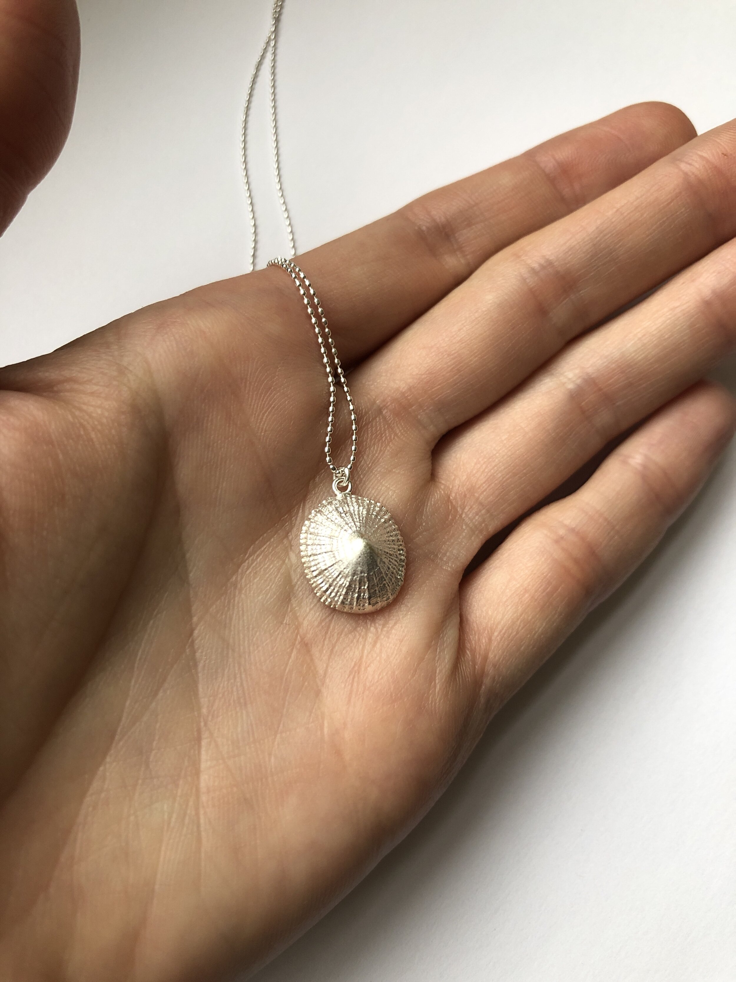 Silver Limpet Shell Necklace, Tropical Beach Shell Necklace, Boho Shell Pendant