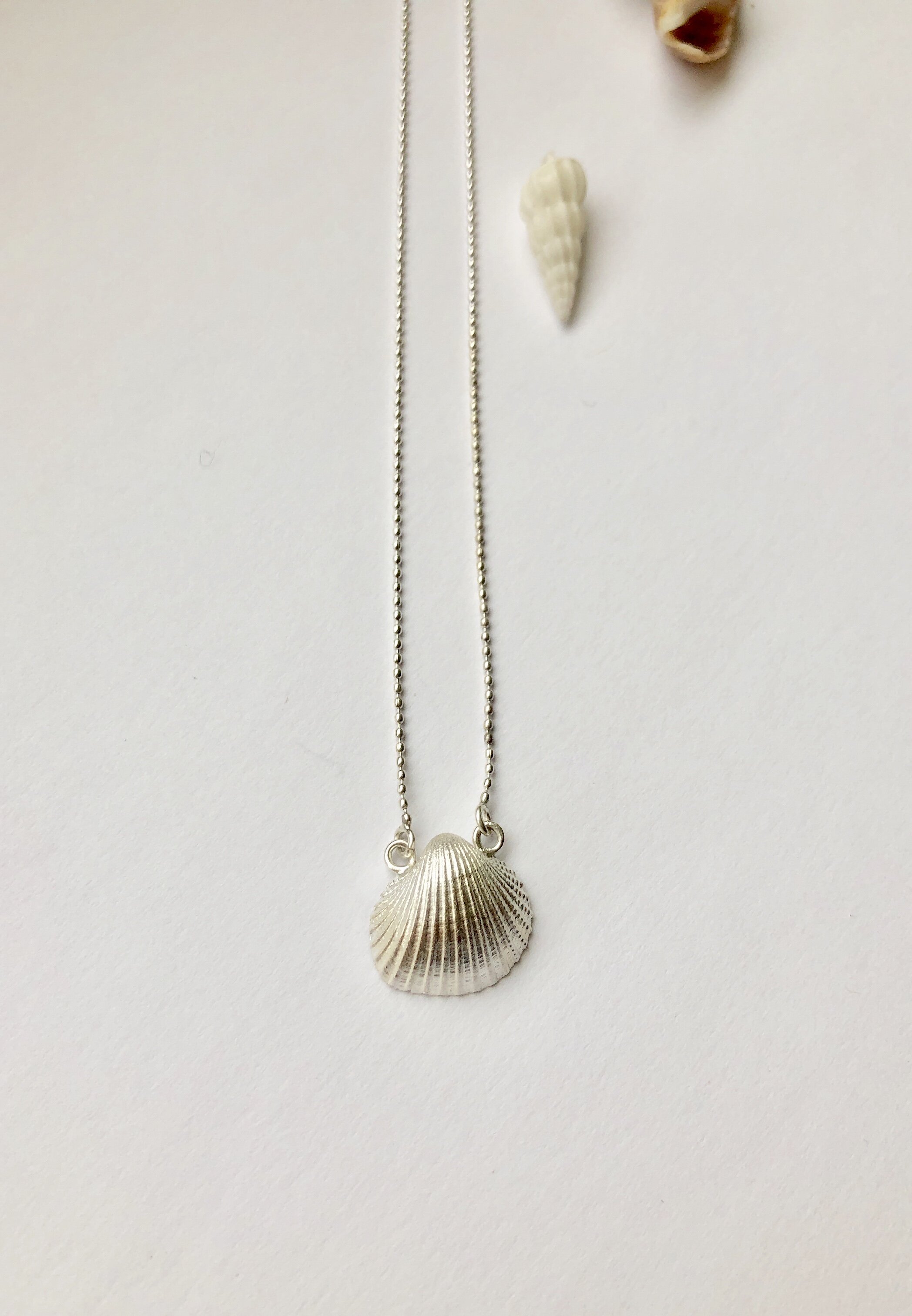 Silver Clam Shell Necklace for Chelsea with Shipping
