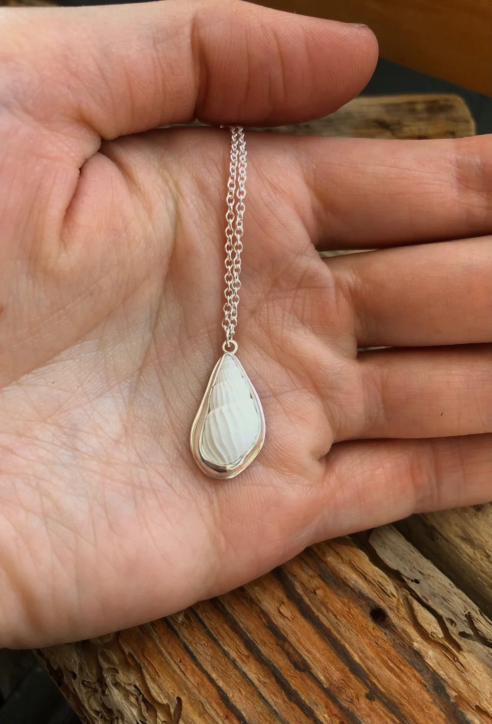 White Periwinkle Shell Necklace — Bridget Turner Jewellery