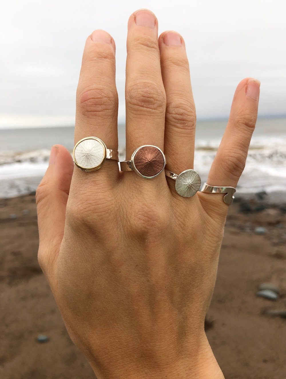 Silver Sand Dollar Rings — Bridget Turner Jewellery
