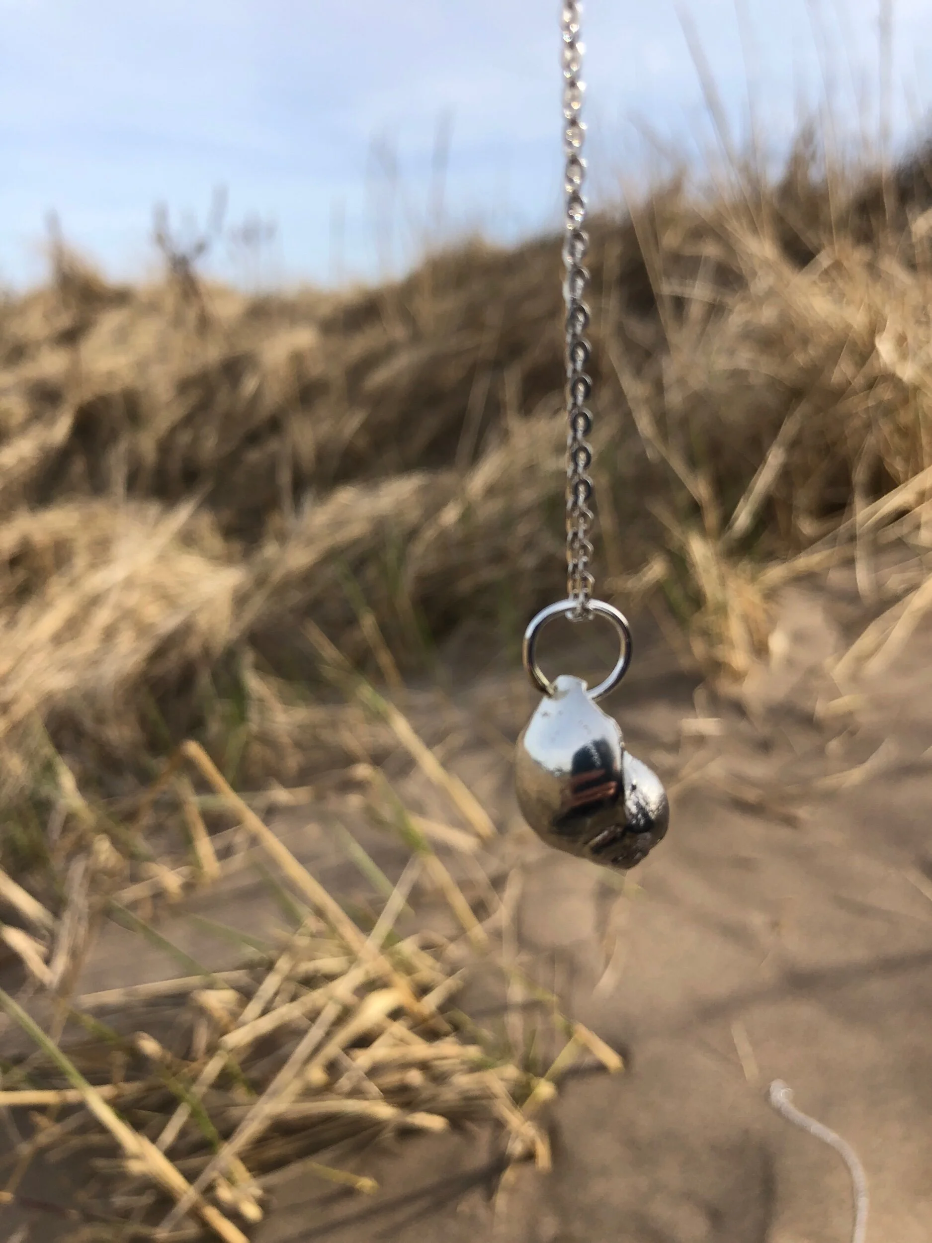 398B22A9-2606-45F0-B726-658749850485