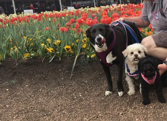 Image 6-7-19 at 12.14 pm.jpeg