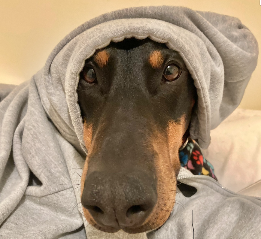 Screen Shot 2023-09-02 at 2.20.01 pm.png