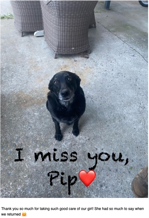 Screen Shot 2024-01-07 at 4.26.44 pm.png