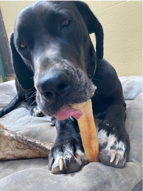 Screen Shot 2023-09-02 at 2.12.14 pm.png