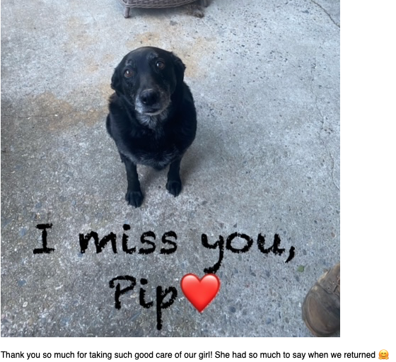 Screen Shot 2024-01-07 at 4.36.40 pm.png