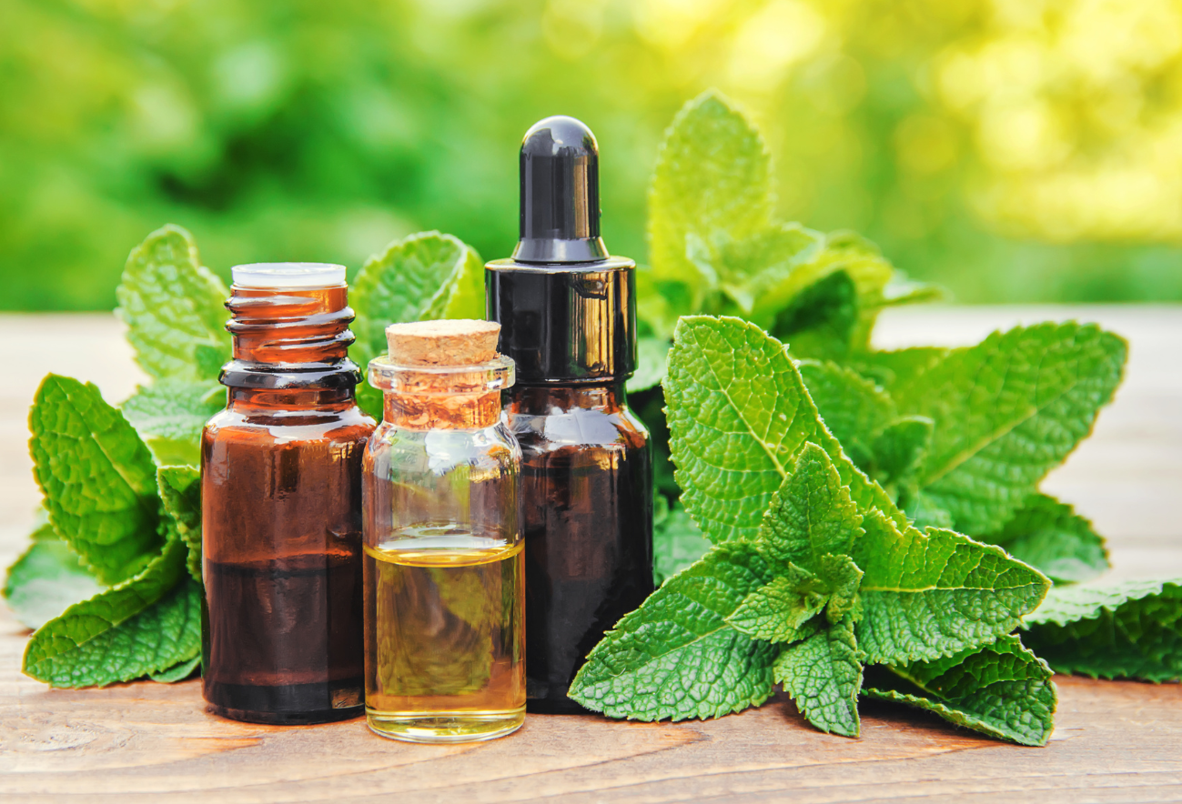 PEROMA tự hào là nơi cung cấp tinh dầu bạc hà chất lượng và uy tín