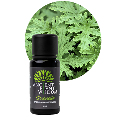 Citronella.png