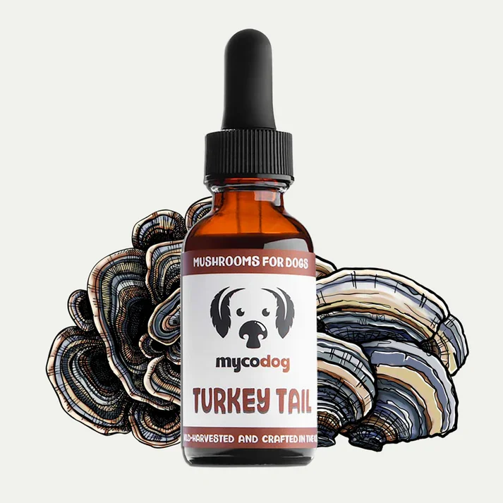 MycoDog-Turkey-Tail-Tincture-Bottle-Front.png.webp