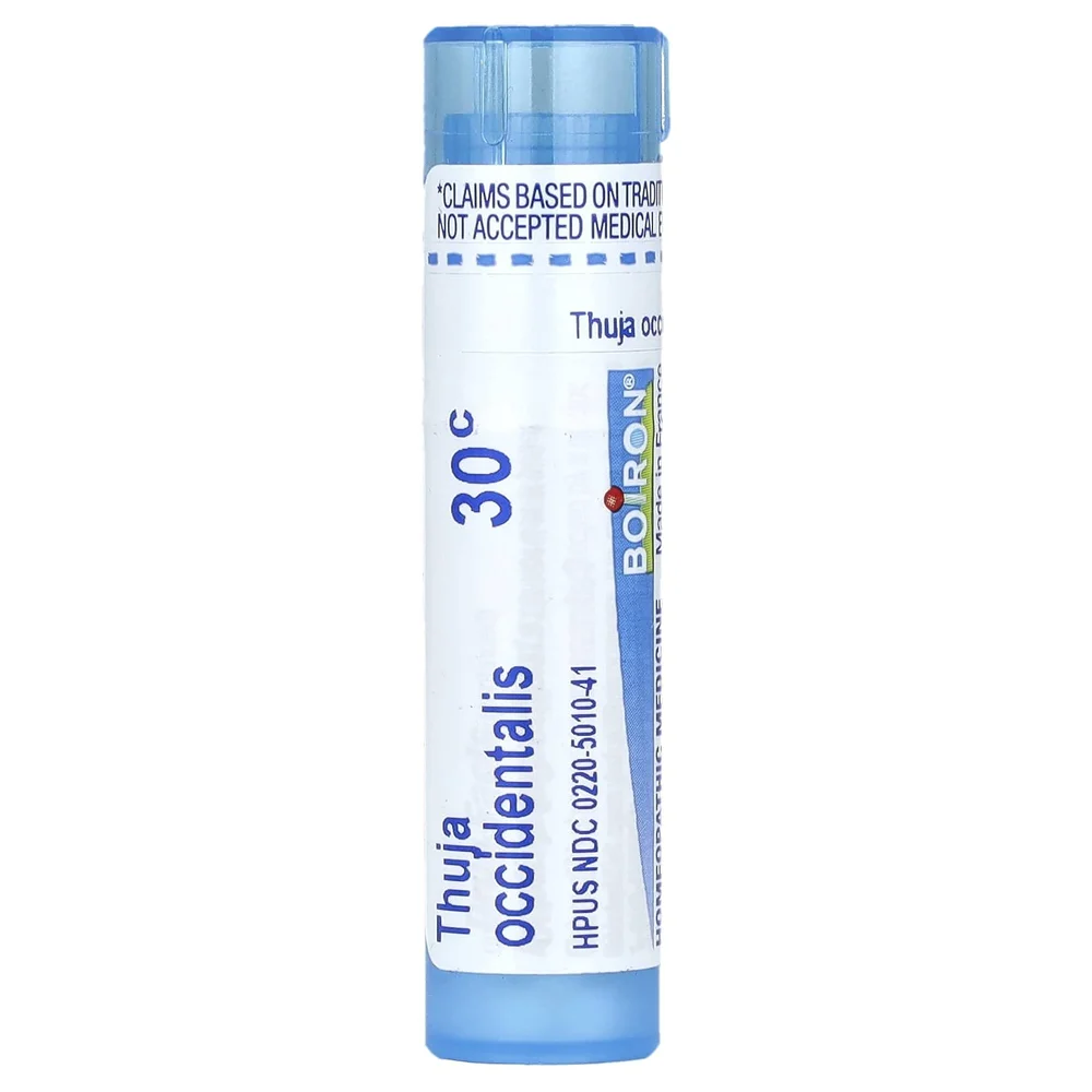 Homeopathic Thuja occidentalis 30C  Rita Hogan Dog HerbalistCanine  Herbalist