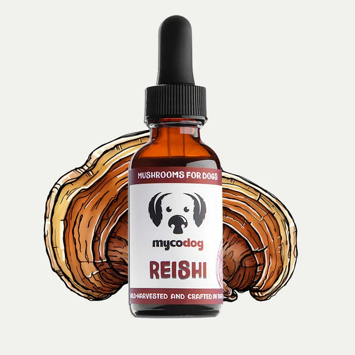 MycoDog-Reishi-Tincture-Bottle-Front.png.webp