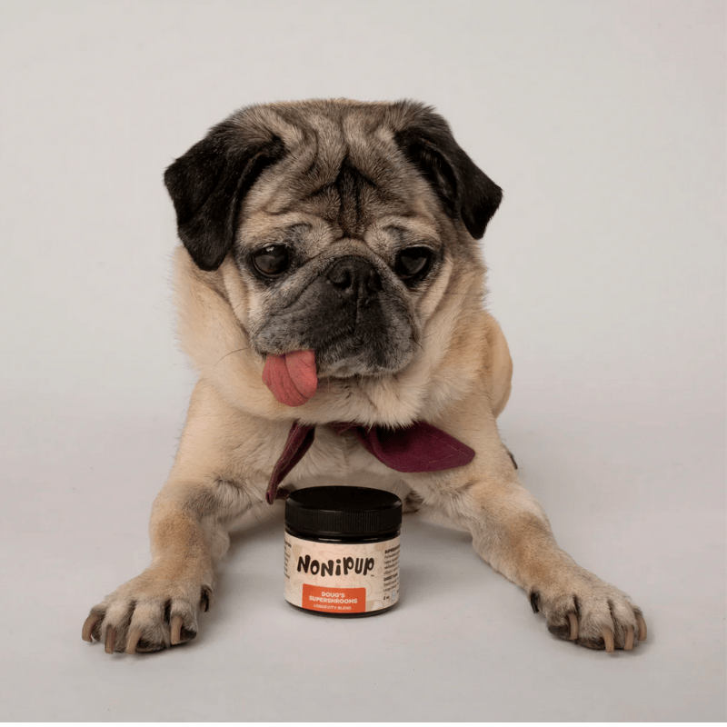 Untitled design(9).png