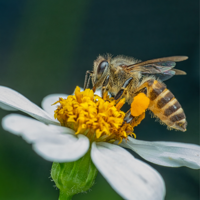 Untitled design(9).png