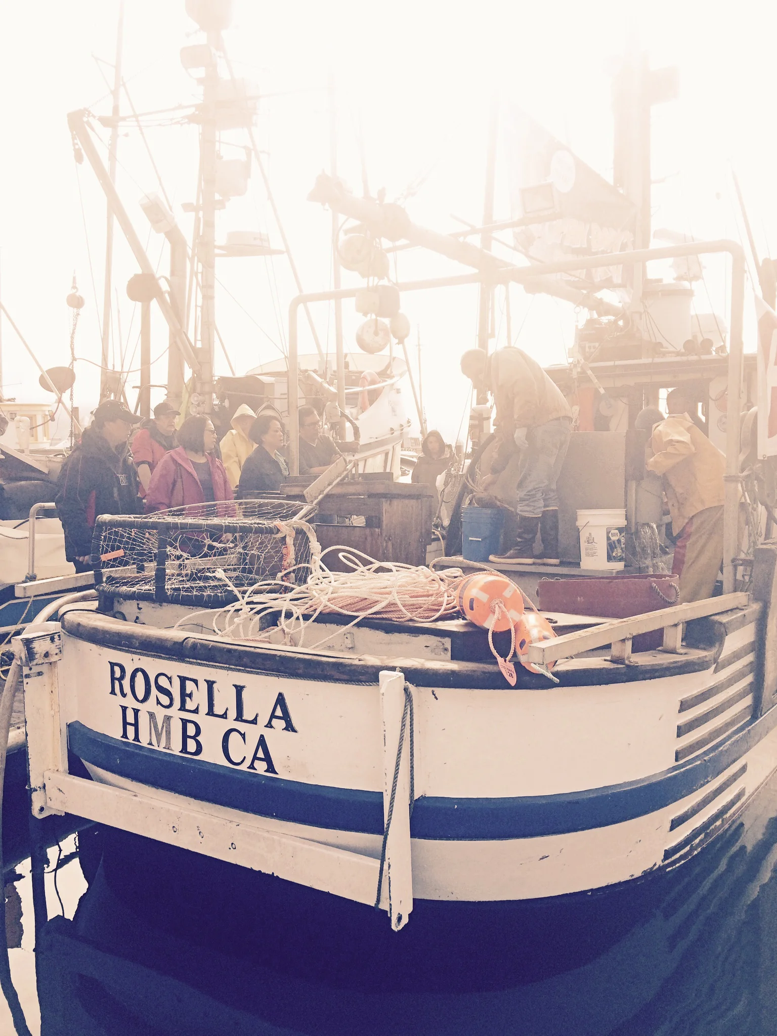 Rosella Barry on the Rosella can be found with Salmon and Crab......