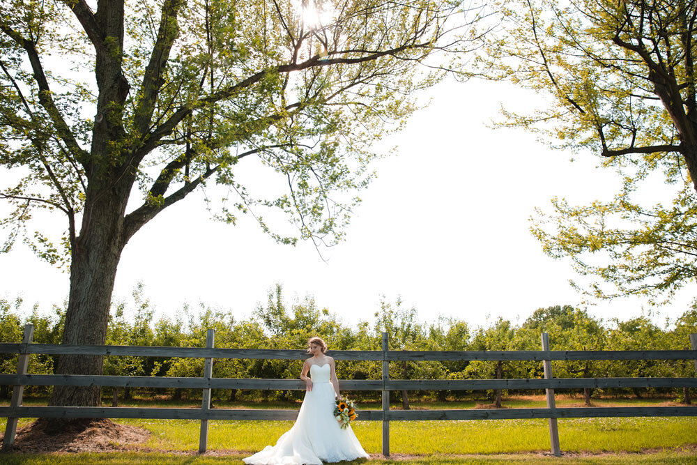  wedding portraits