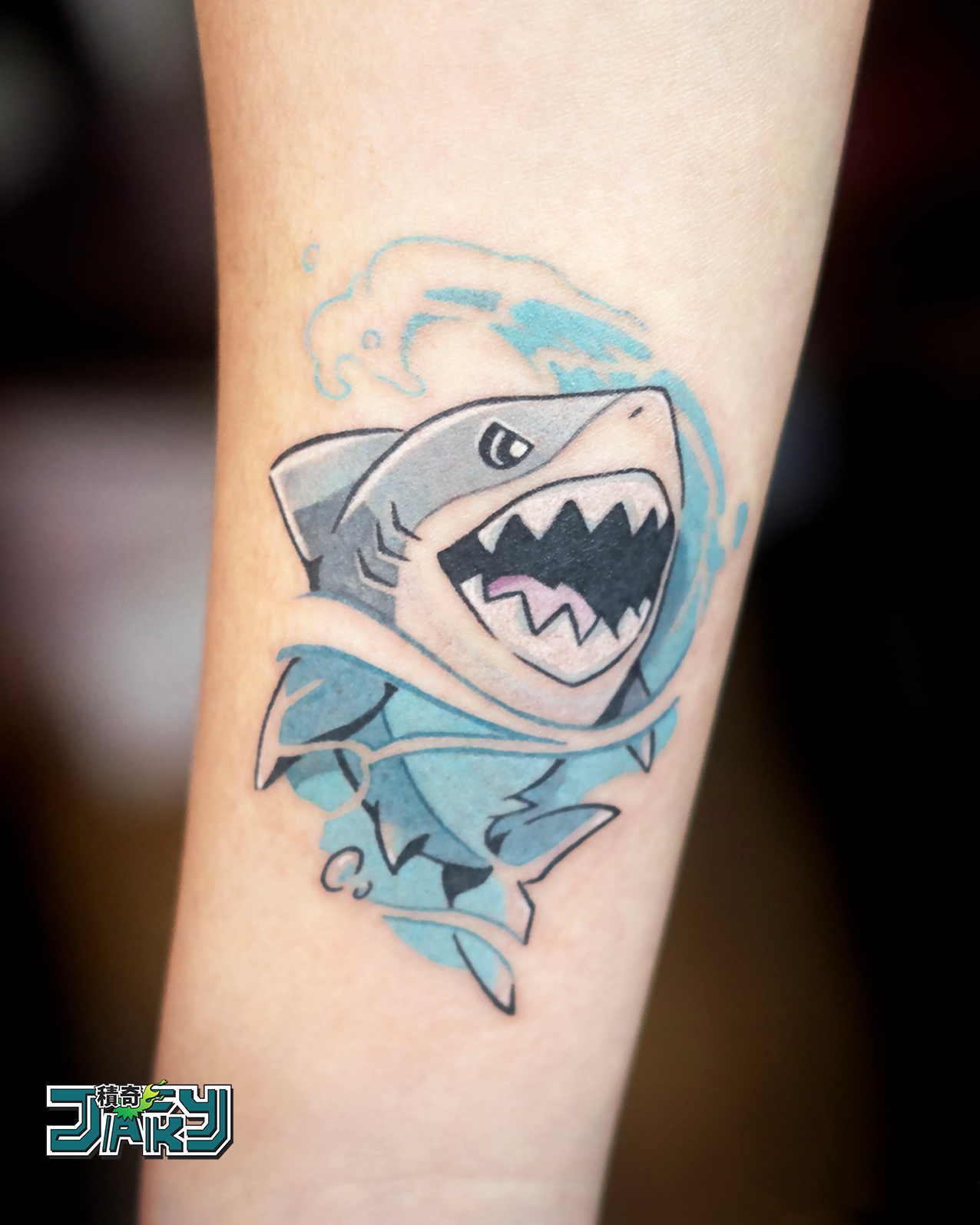 shark2026.png