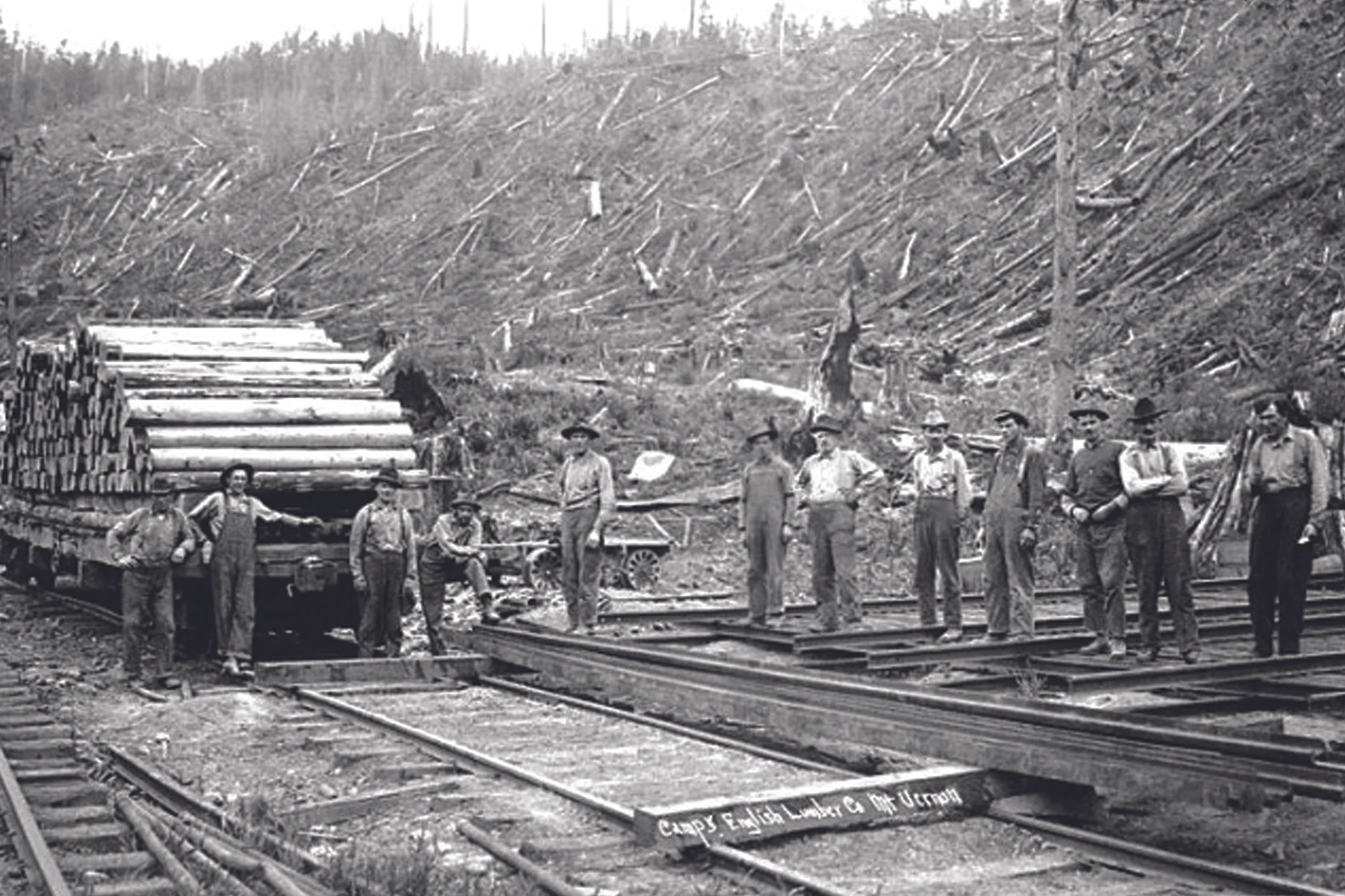 English Camp 5 crews clear-cut the park area, circa 1915. The Little Mountain forest has been regrowing for the last century.