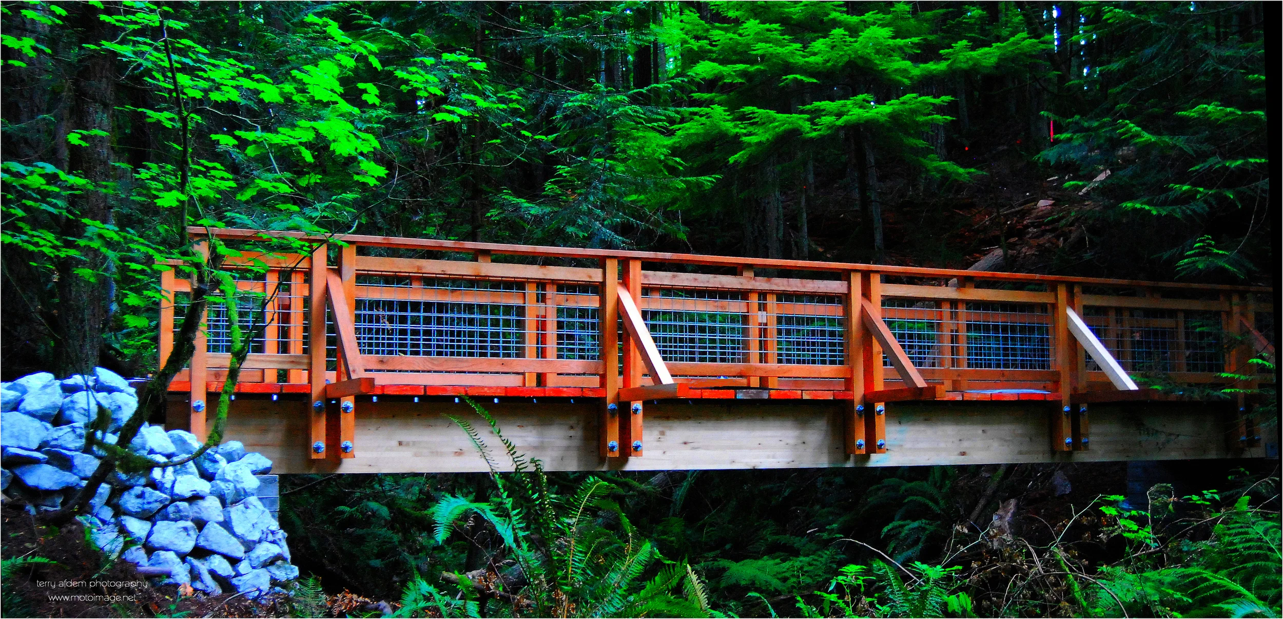 nature-trail-bridge-at-little-mountain-park.jpg
