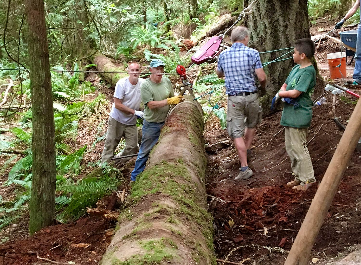 Volunteers (led by Jerry Granahan) are shown placing a log barrier along the side of a newly completed trail, called Rooty. Why a log barrier? To help stop short-cutting on the trails at Little Mountain Park.