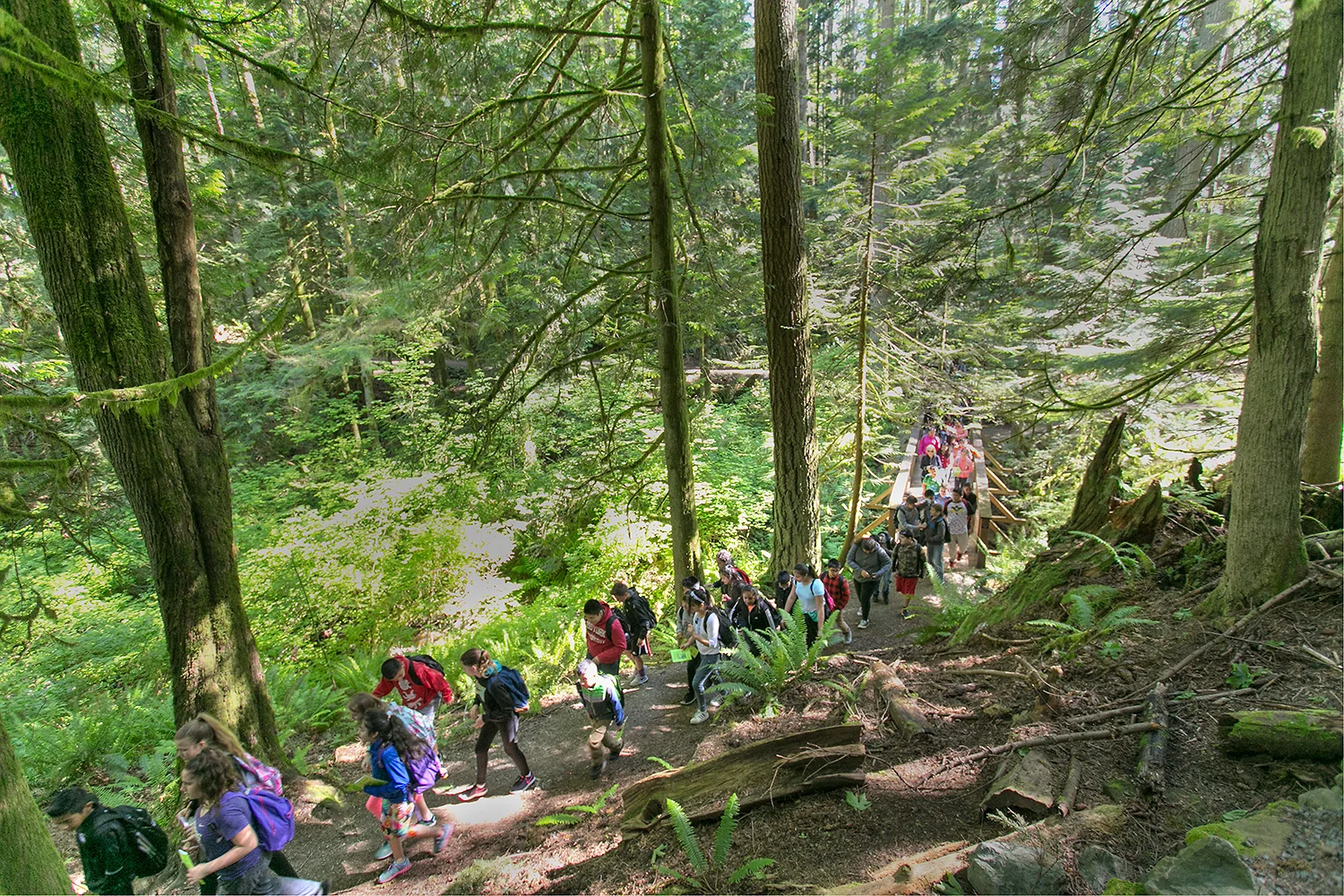 Mount Vernon School District 5th graders hiking at Little Mountain Park.