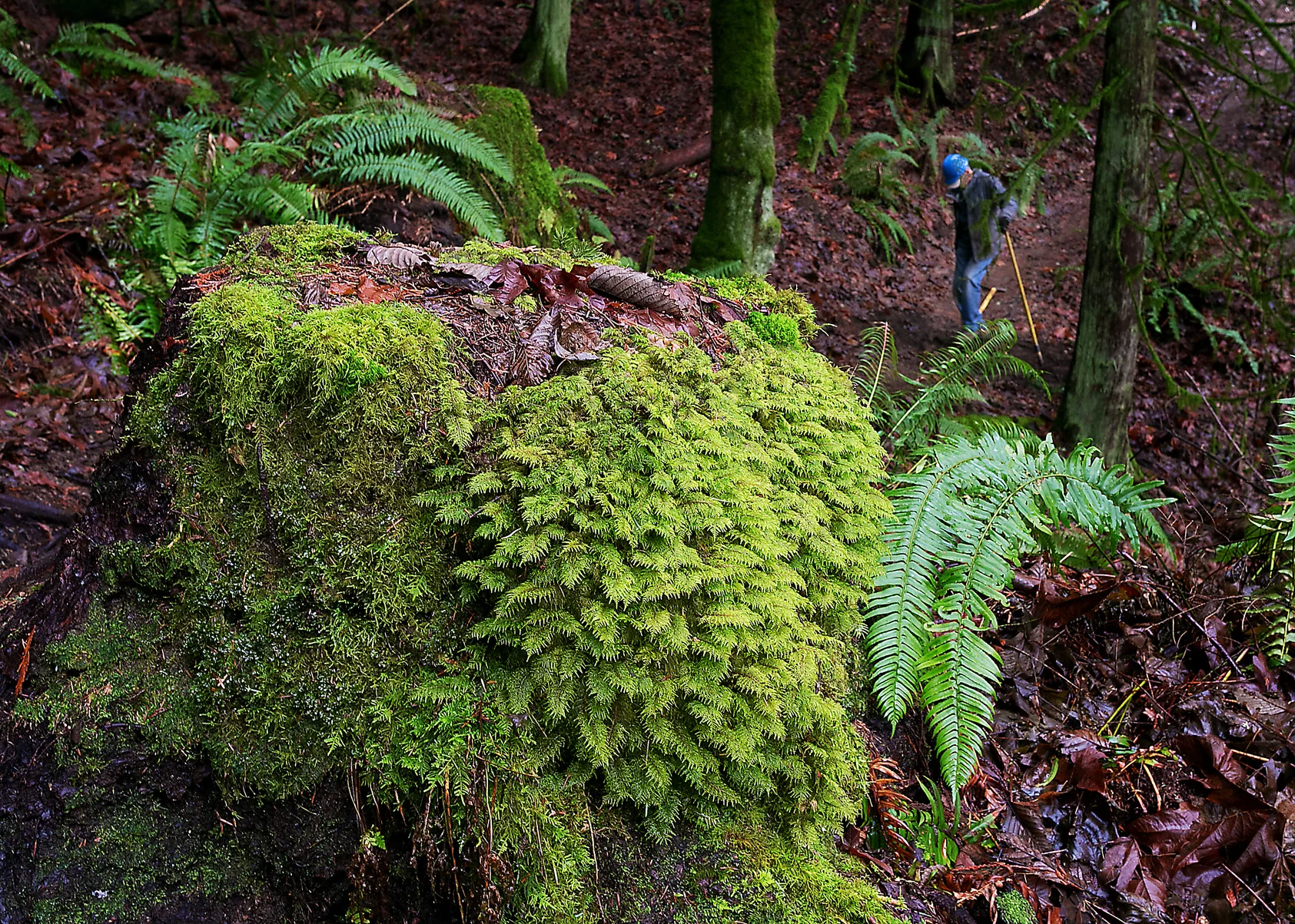 LMTB-trailday-180127-IMG_2111.jpg