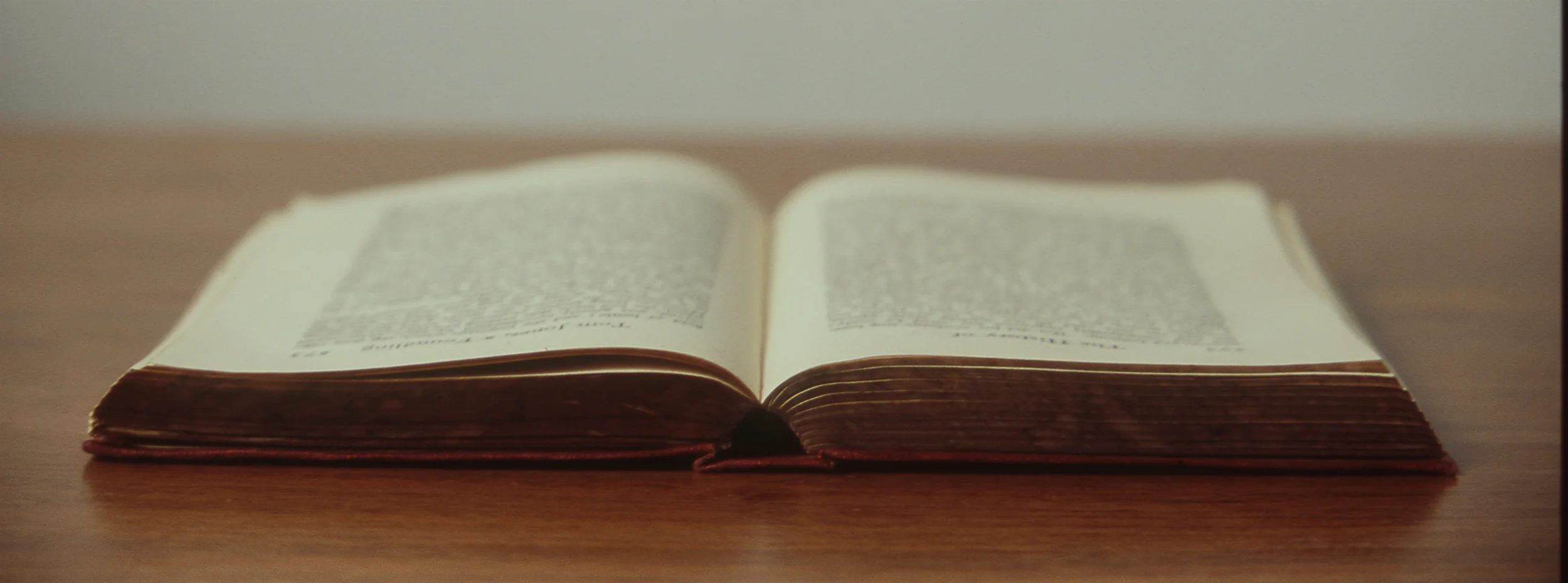 alejandroescamilla-book_36x13.jpg