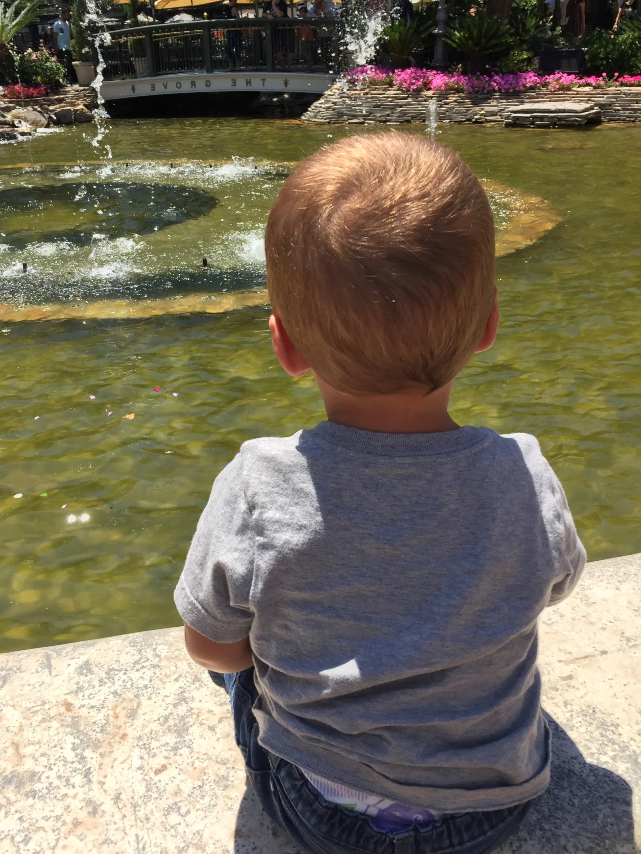 To Enjoy life, liberty and the pursuit of happiness…
