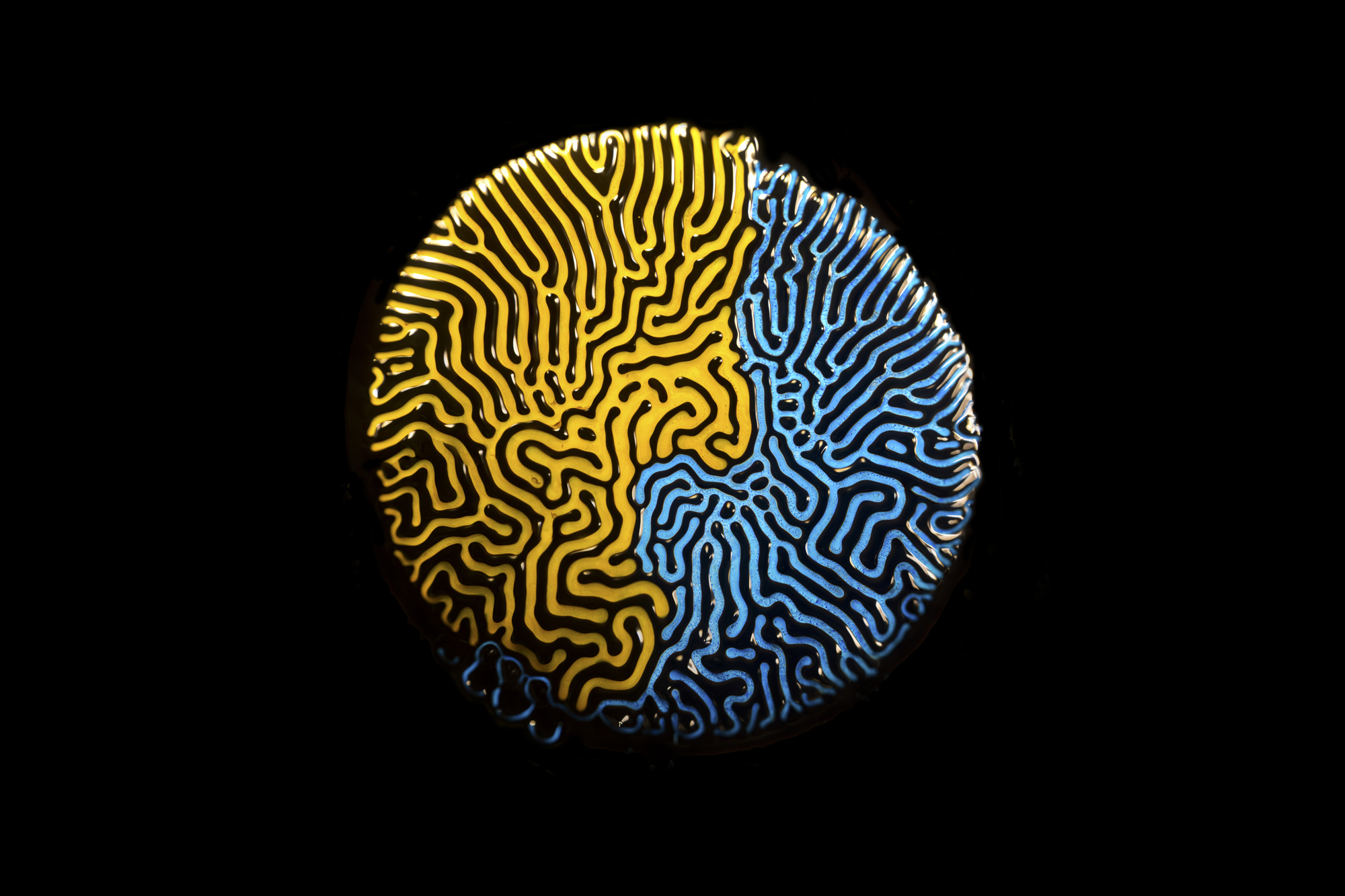 Ferrofluid 6
