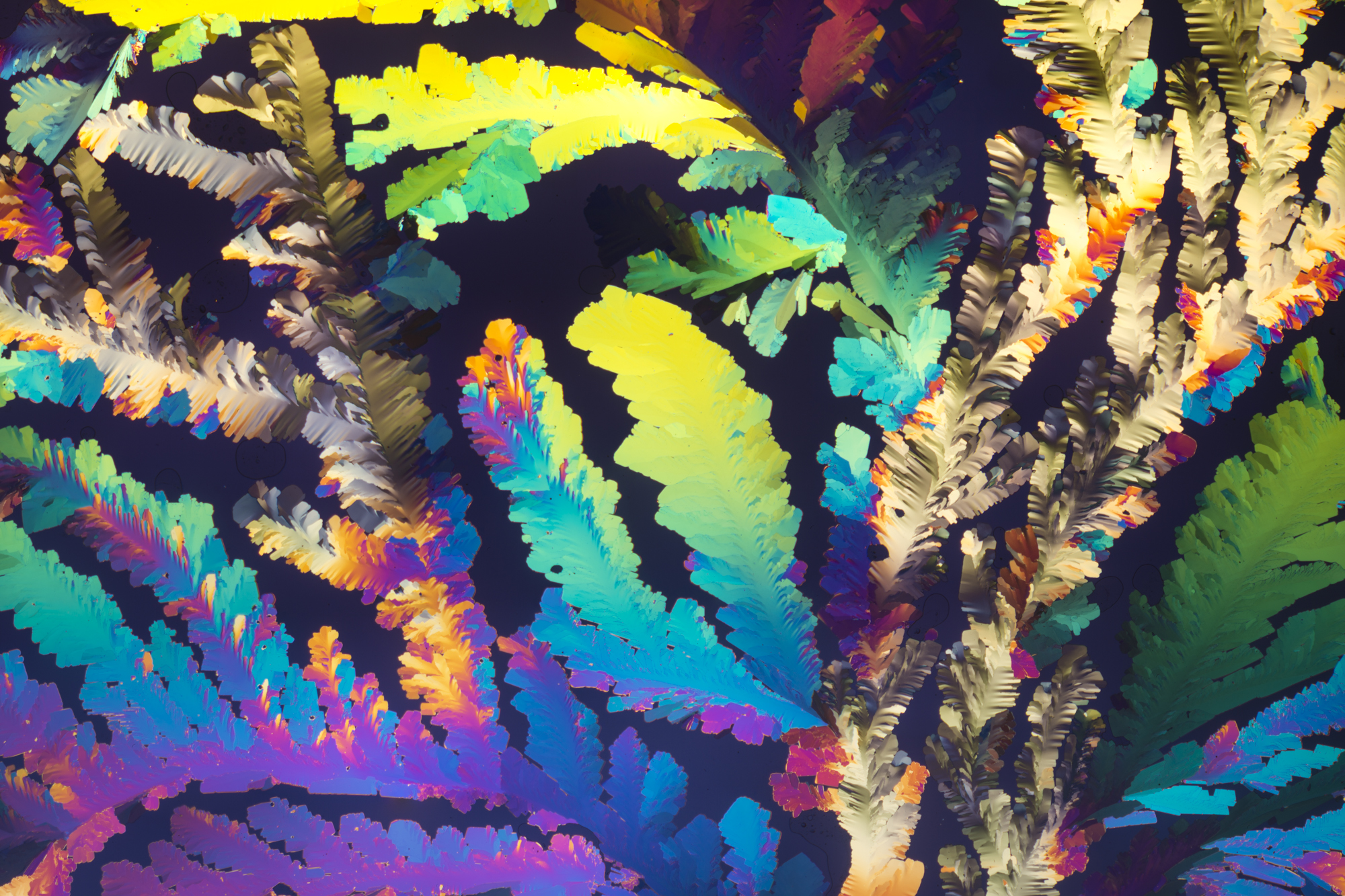 MDMA 2