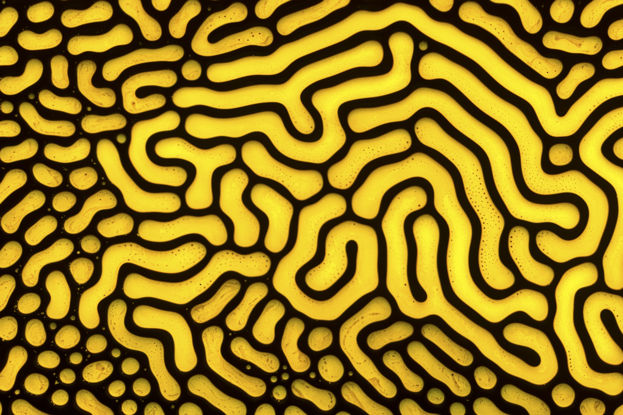 Ferrofluid 10