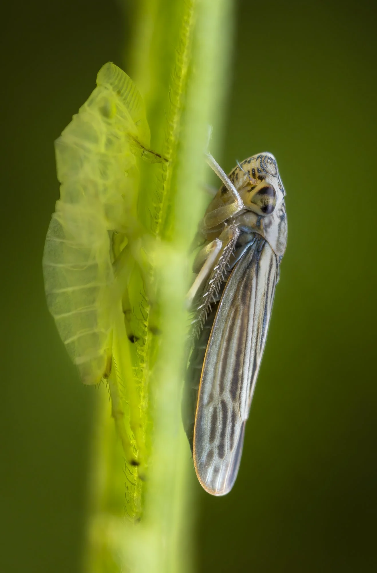 20250919-2025-09-19 19-30-31 (B,Radius3,Smoothing8)-Edit.jpg