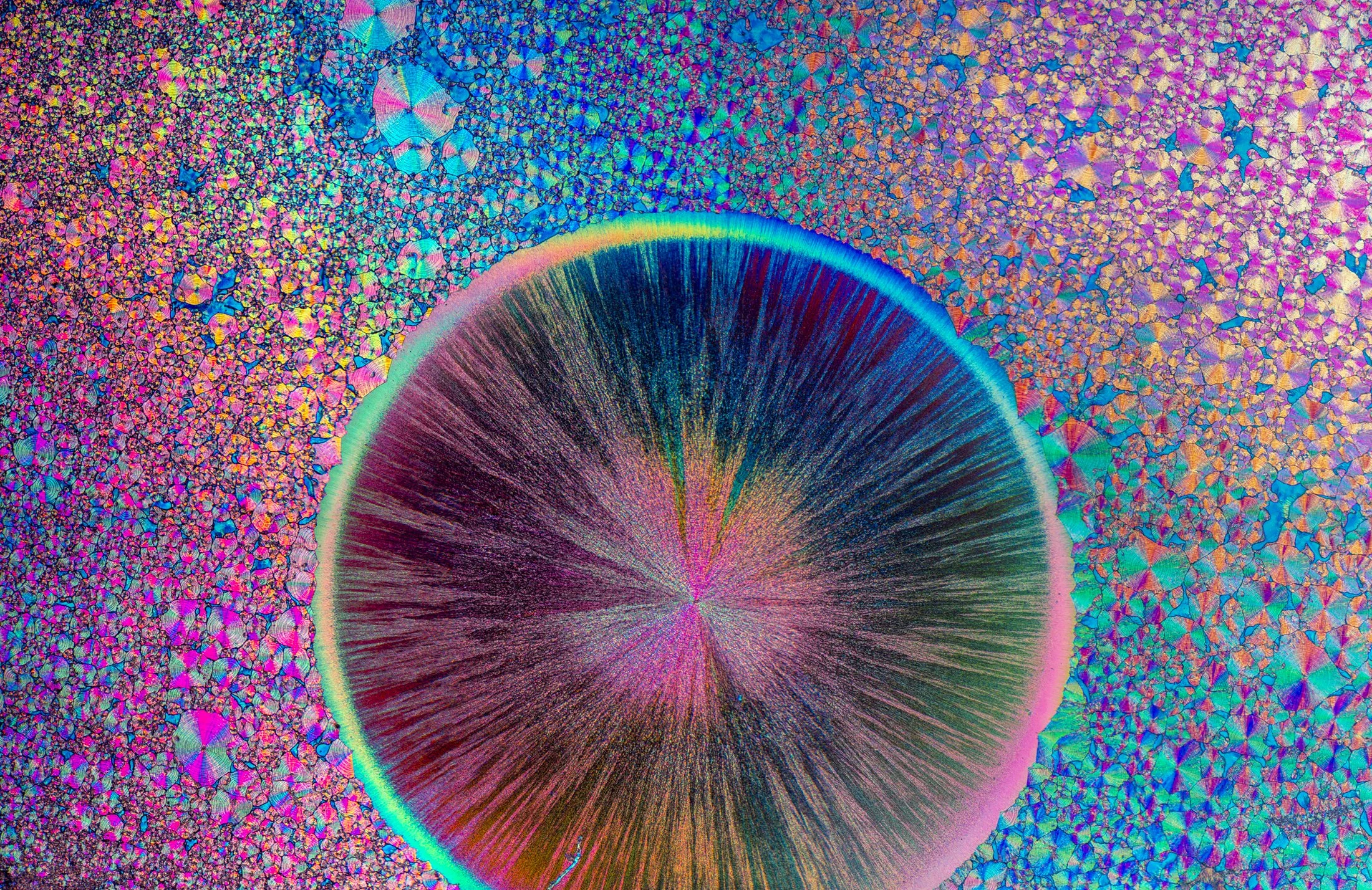 Phytosphingosine