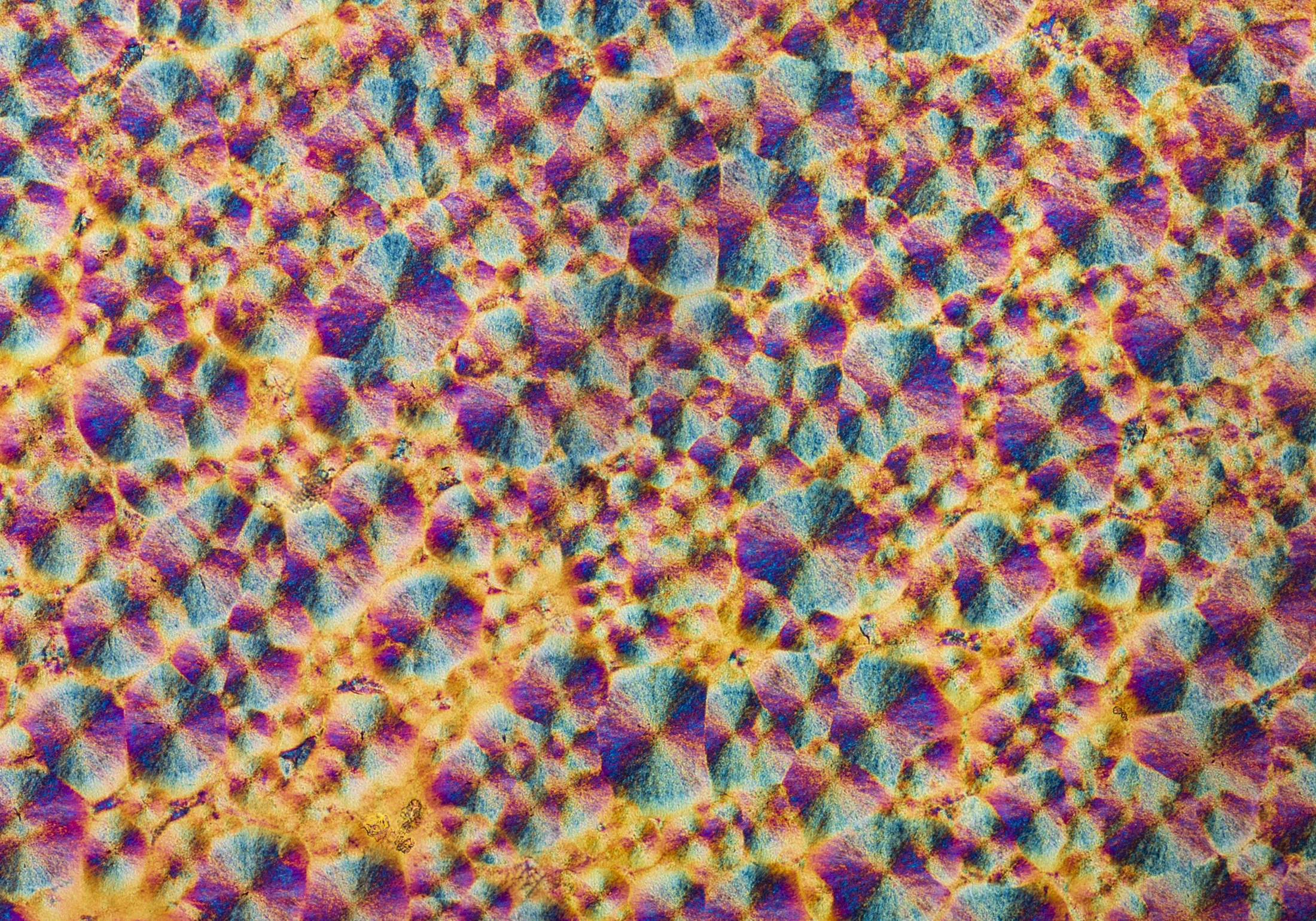Ceramides