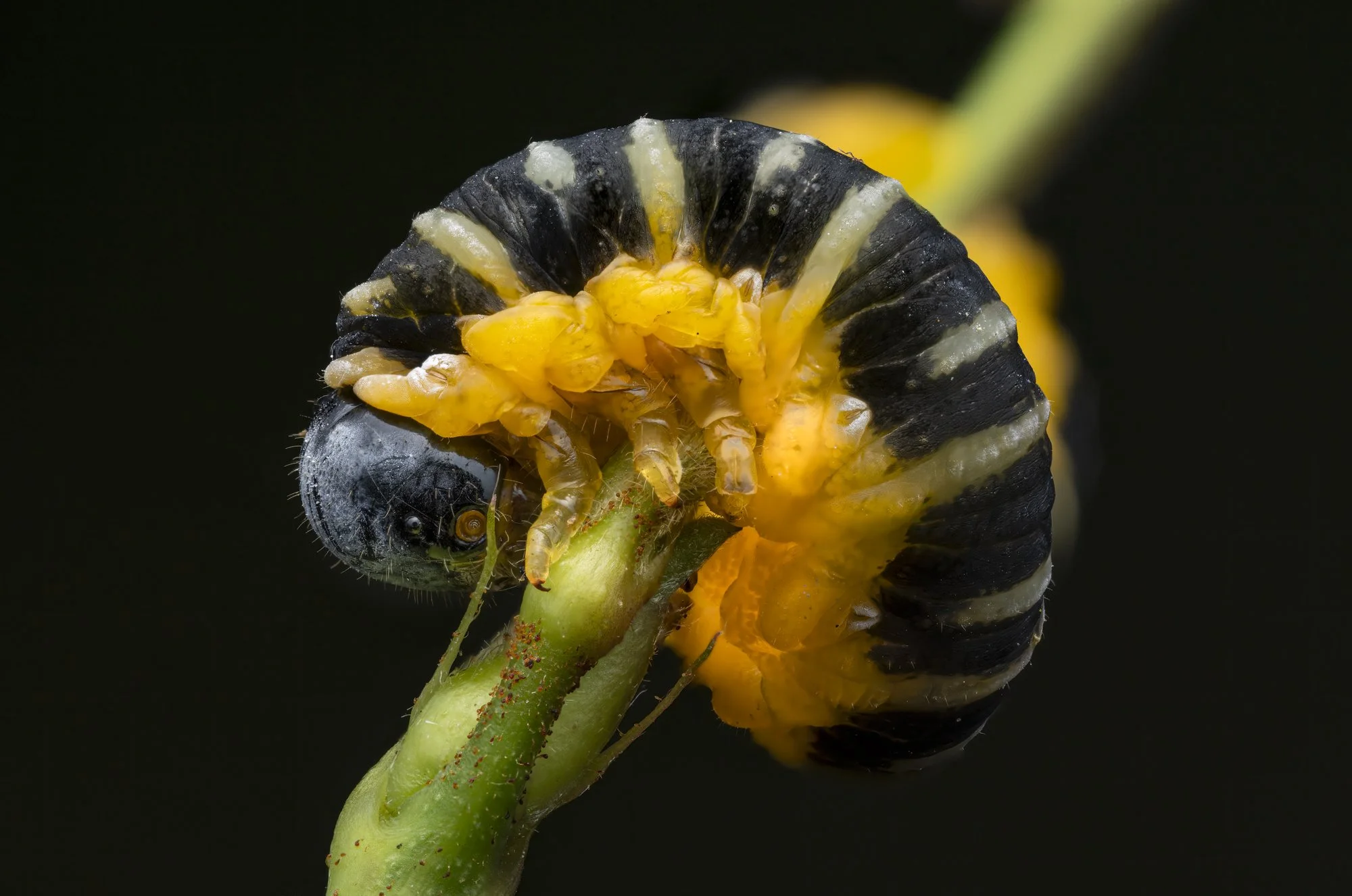 20250919-2025-09-20 00-35-01 (B,Radius3,Smoothing8)-Edit.jpg