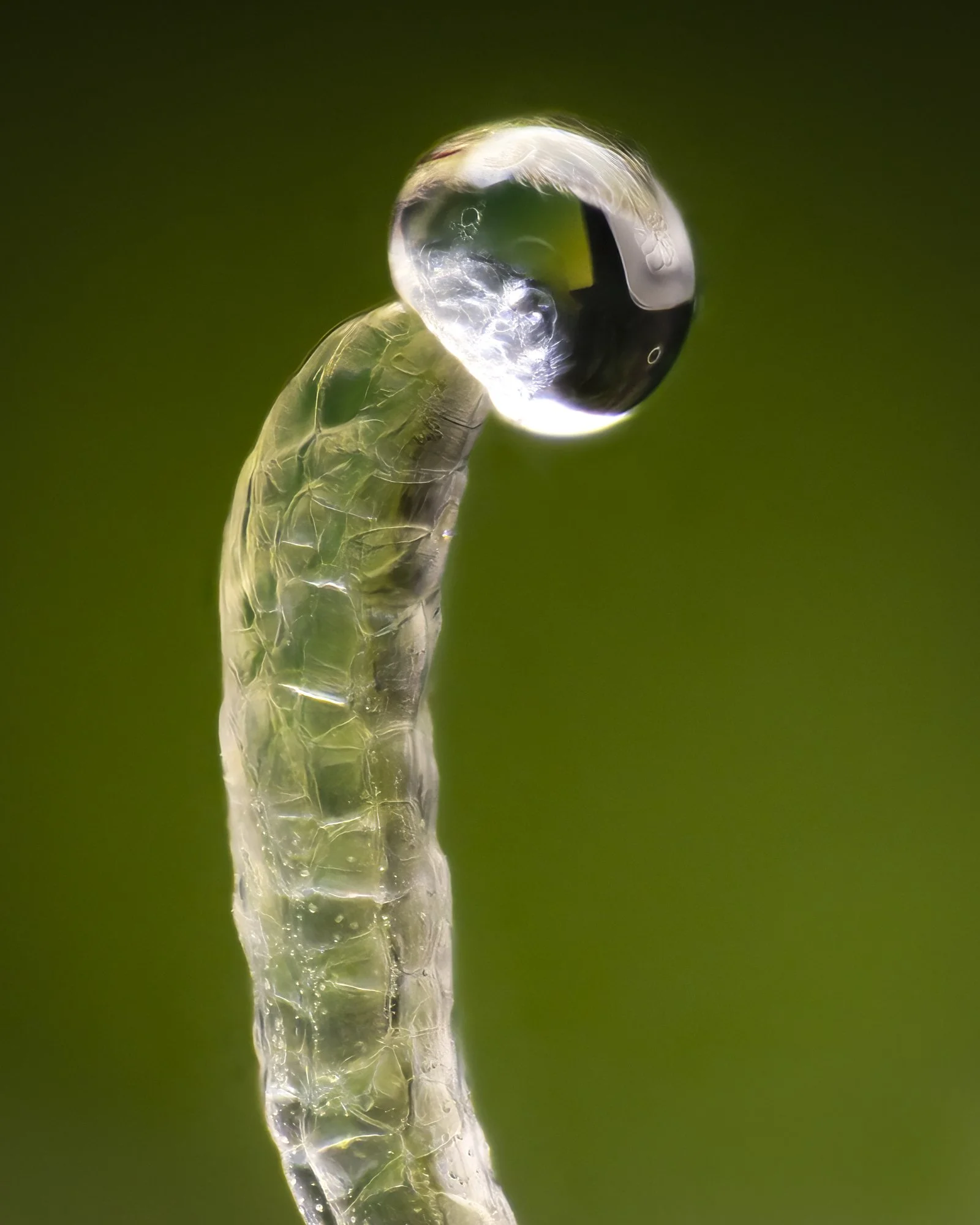 20260109-2026-01-09 23-34-12 (B,Radius8,Smoothing5)-Edit-Edit-Edit.jpg