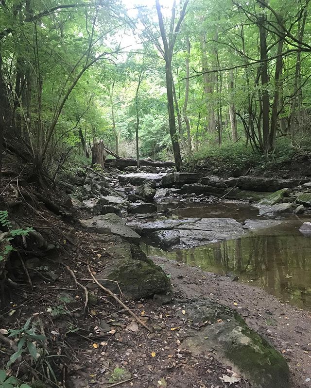 Matthiessen