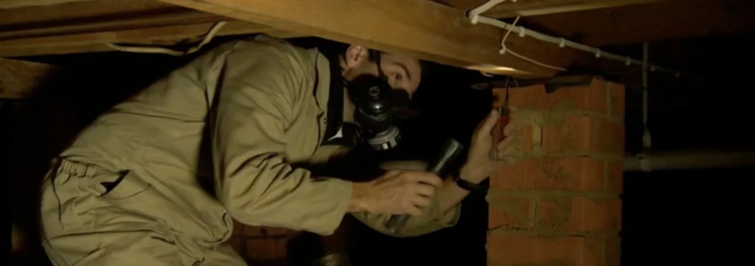 Sub floor inspection.jpg