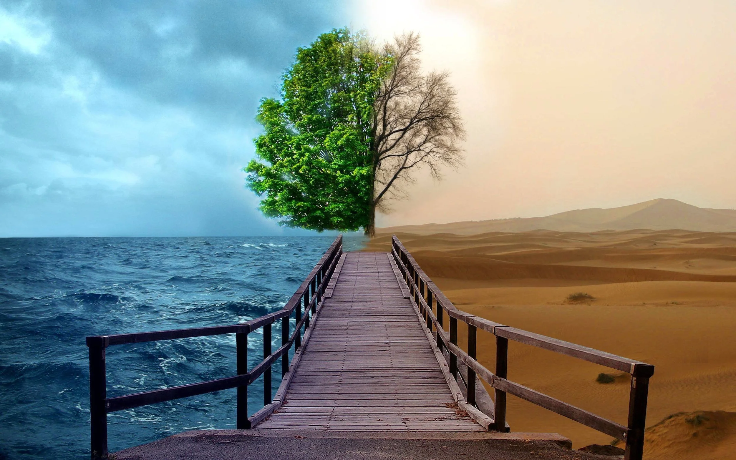 Life Transitions.jpg