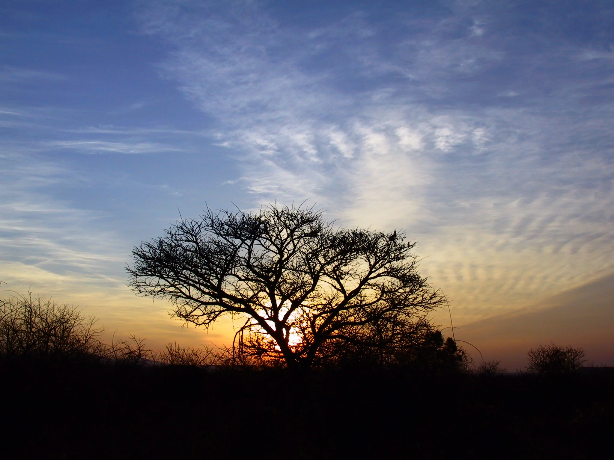 African Sunset on Hazeldean Farm
