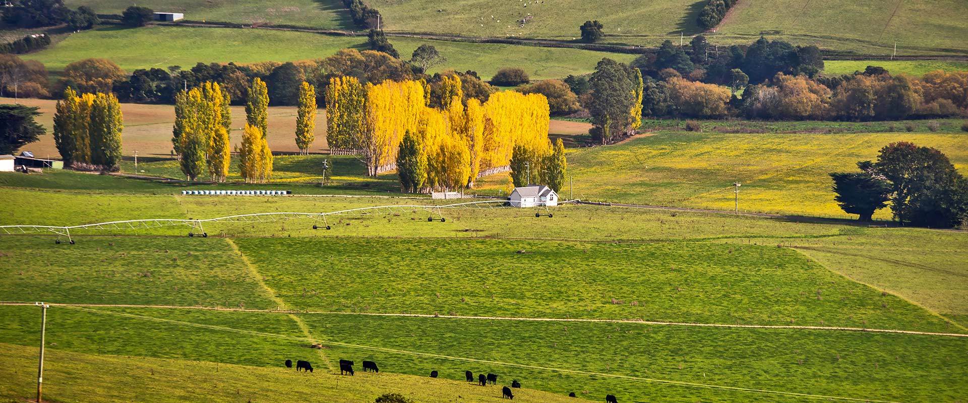           &nbsp;    enjoy the freedom of a coast of plenty    coast, canyon, caves - or just chill out    &nbsp;     