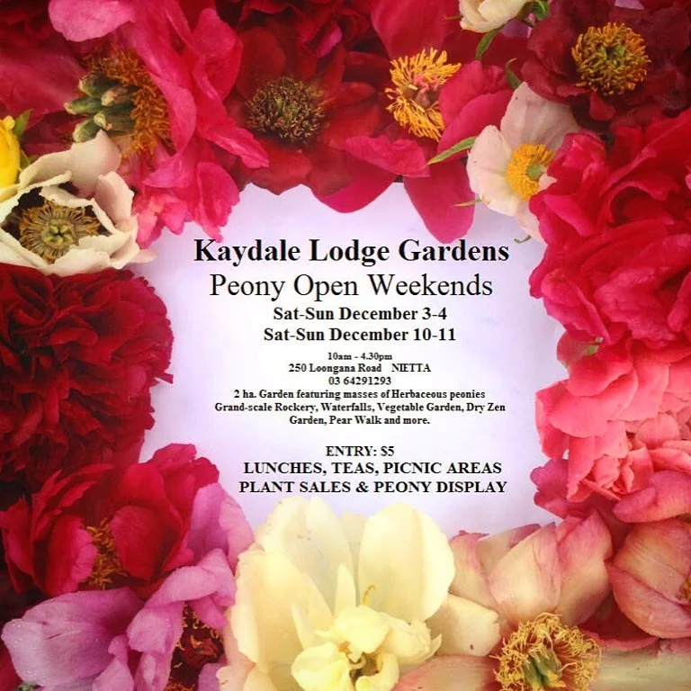 Kaydale Lodge Gardens - Peony Open Weekends