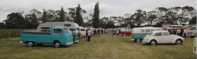 VWs at the Berry Patch 2017