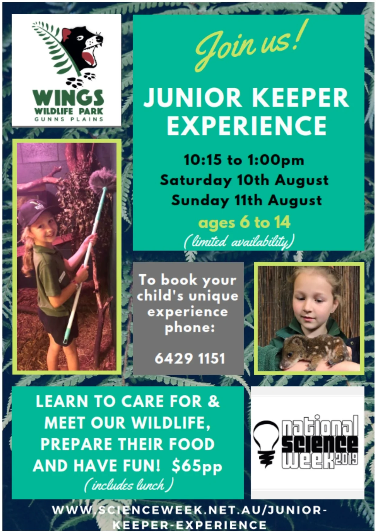 20190811 Junior Keeper Experience.jpg