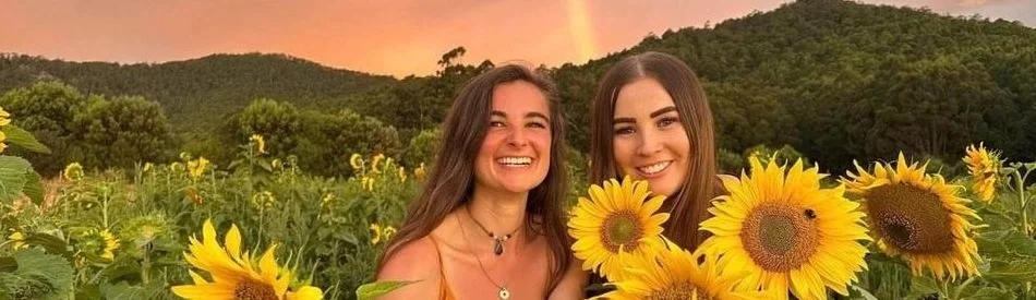 Sunflowers @ Sunset - Mount Gnomon Farm