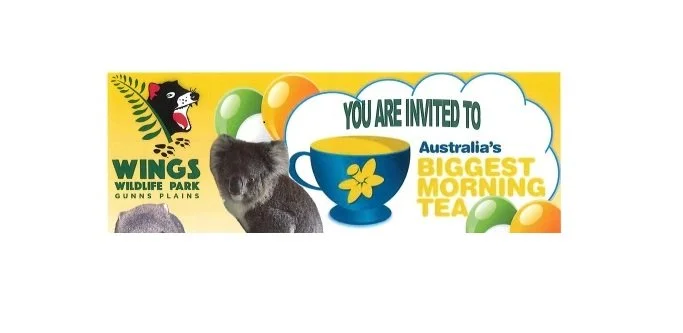 Australia's Biggest Morning Tea - Wings Wildlife Park, Gunns Plains